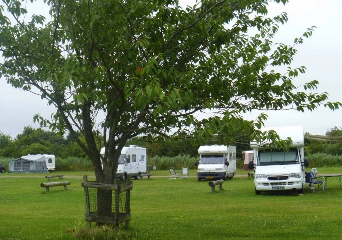 Ship & Anchor Marina Campsite — Місце для кемпінгу in Ford