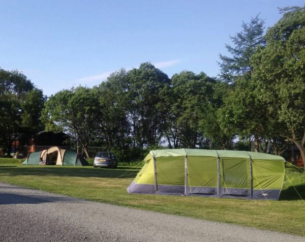 The Woods Caravan Park — Foto 4