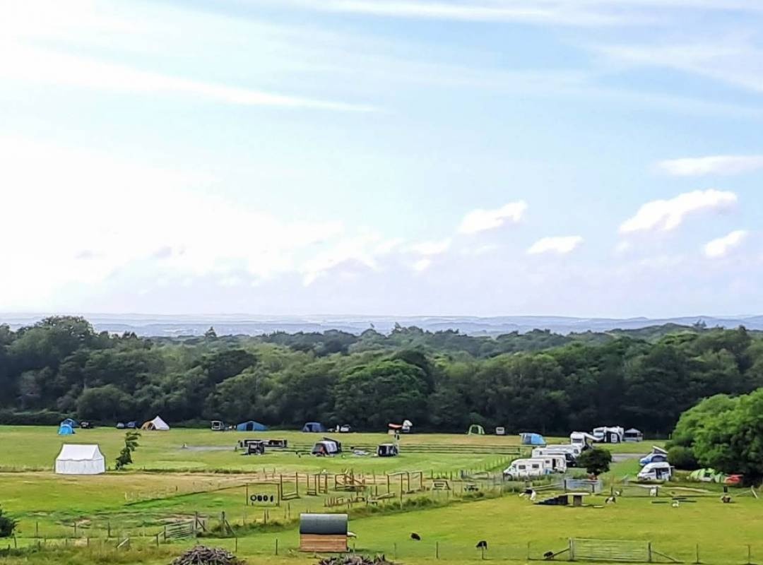 Norden Farm Campsite — 露营地 in Corfe Castle