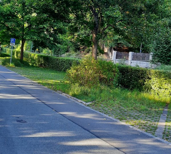 Stellplatz am Bahnhof Naila