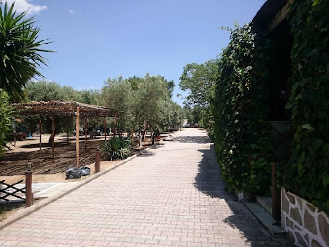 Camping Alikes — Camping Site in Ammouliani