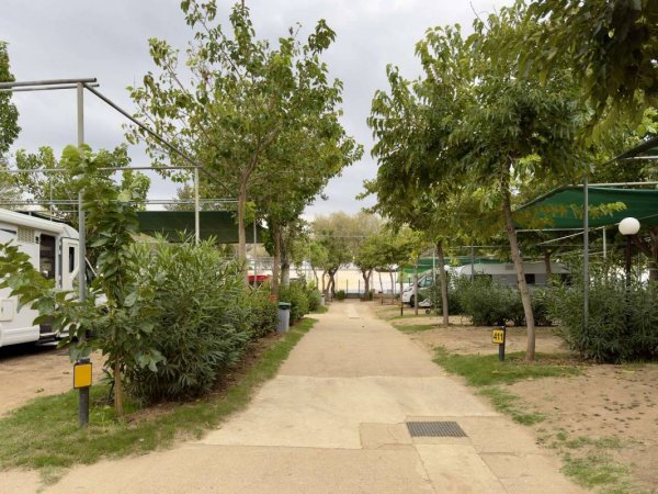 Camping Ouzouni Beach — Photo 5