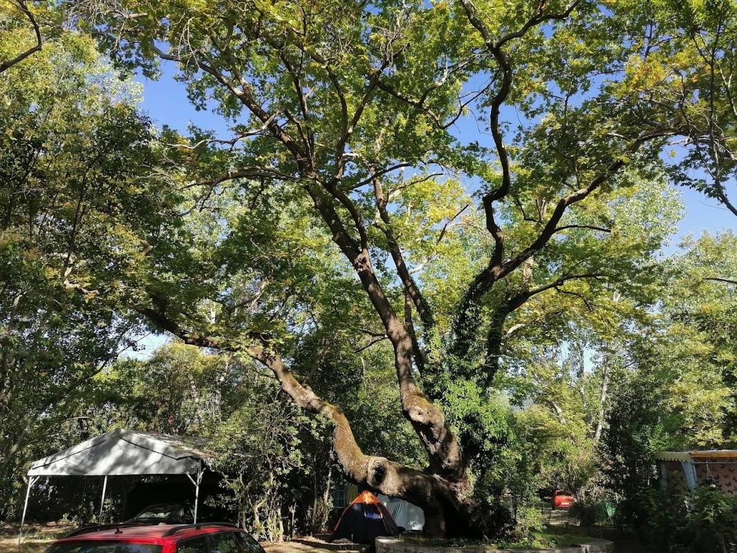 Camping Asprovaltas Beach — Camping Site in Thessaloniki