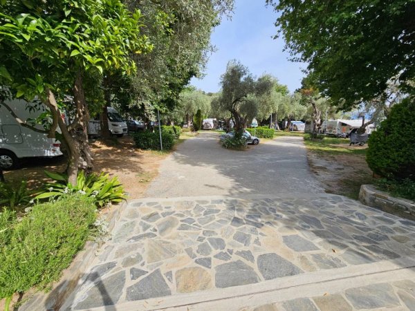 Camping Hellas — Foto 4