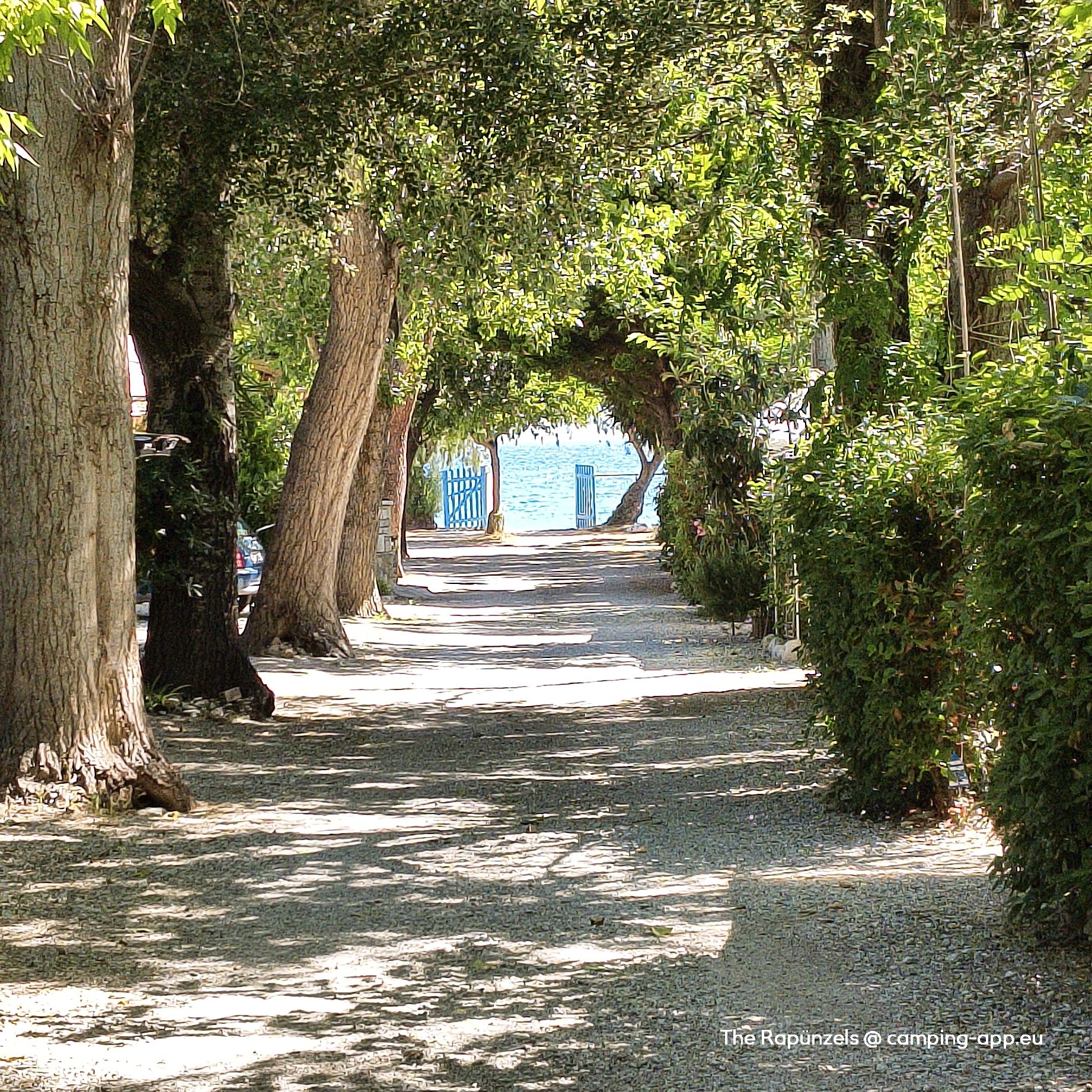 Akrata Beach Camping — Foto 3