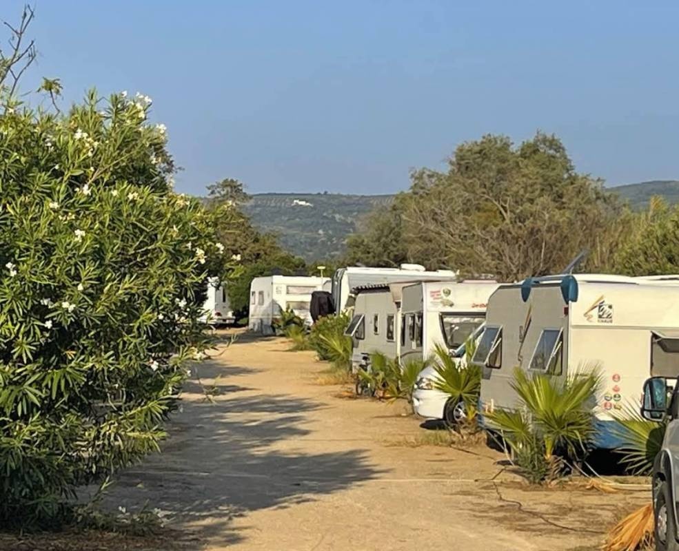Camping Ammos — Camping Site in Messinia