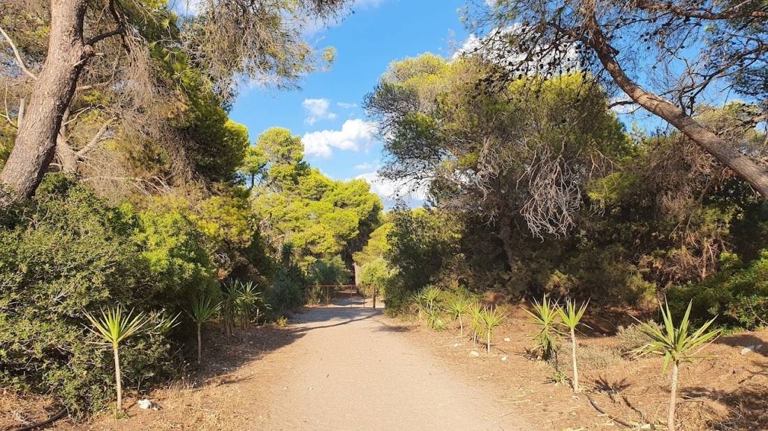Camping Apollon Village — Camping in Zacharo