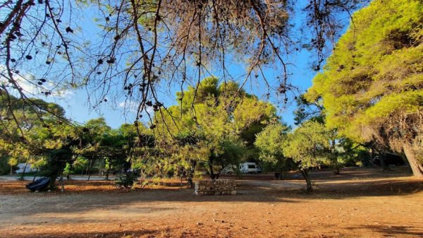 Camping Apollon Village — Photo 3