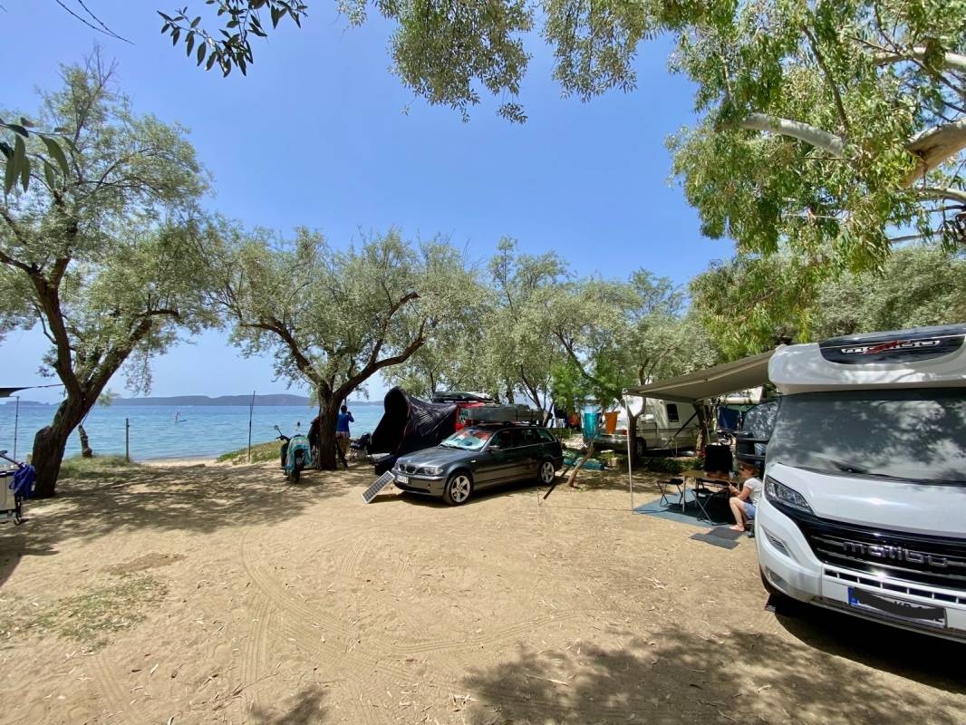 Camping Navarino Beach — Camping Site in 