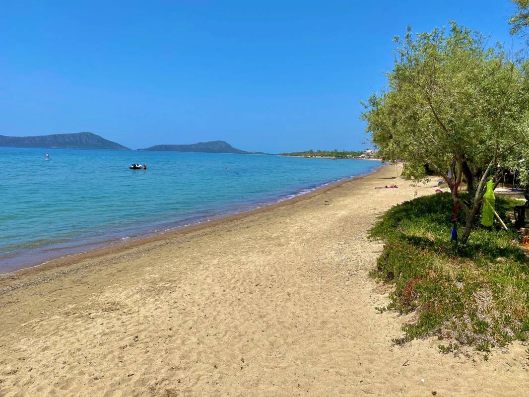 Camping Navarino Beach — Kemping in 