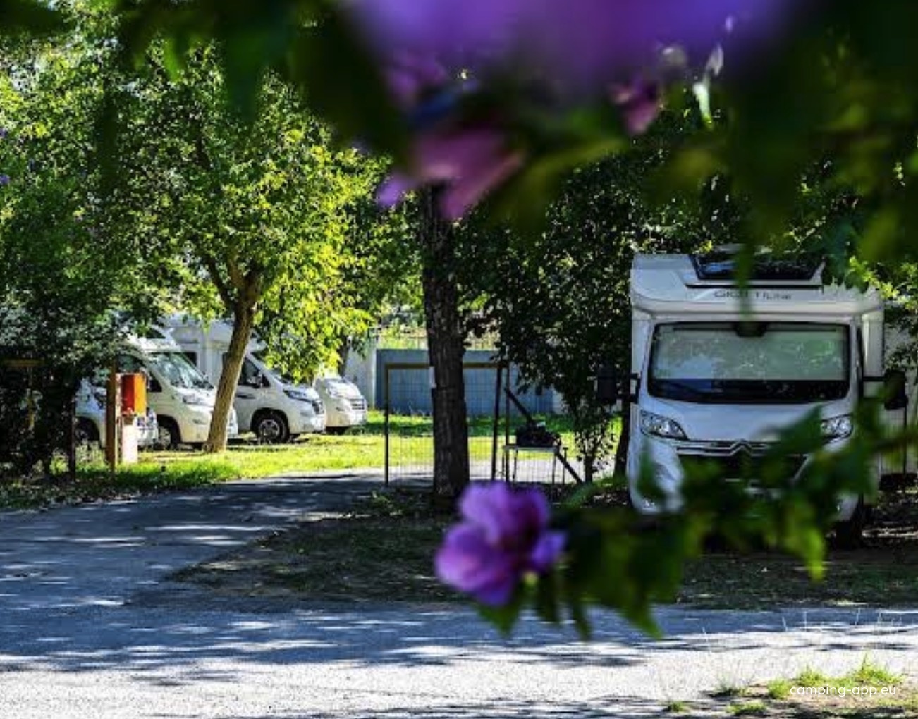 Camping Paleologio Mystras — Campingplatz in Paleologio