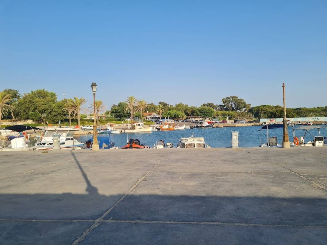 Camping Palouki — Camping Site in Amaliada