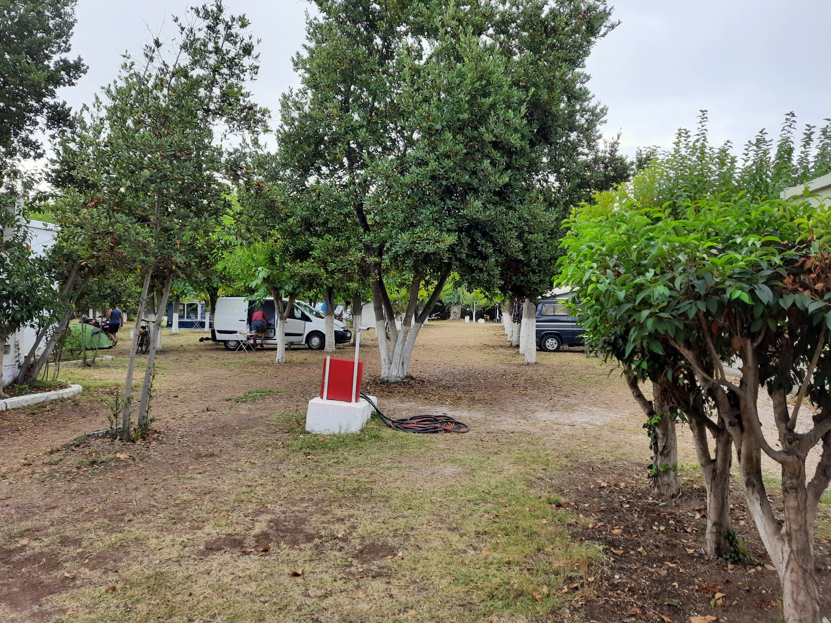 Camping Tholo Beach — Camping in Tholo Ilias, Zacharo