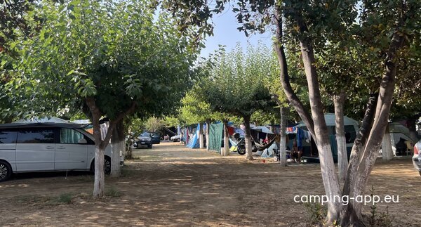 Camping Tholo Beach