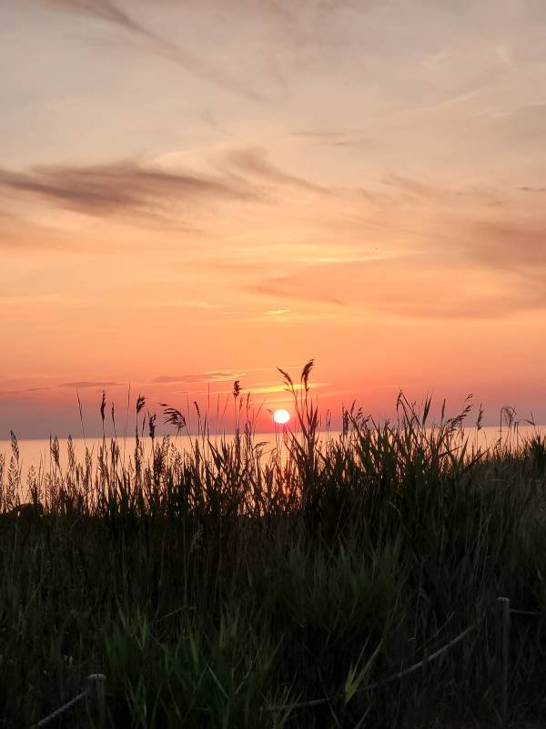 Jūrasdzeņi — Photo 4