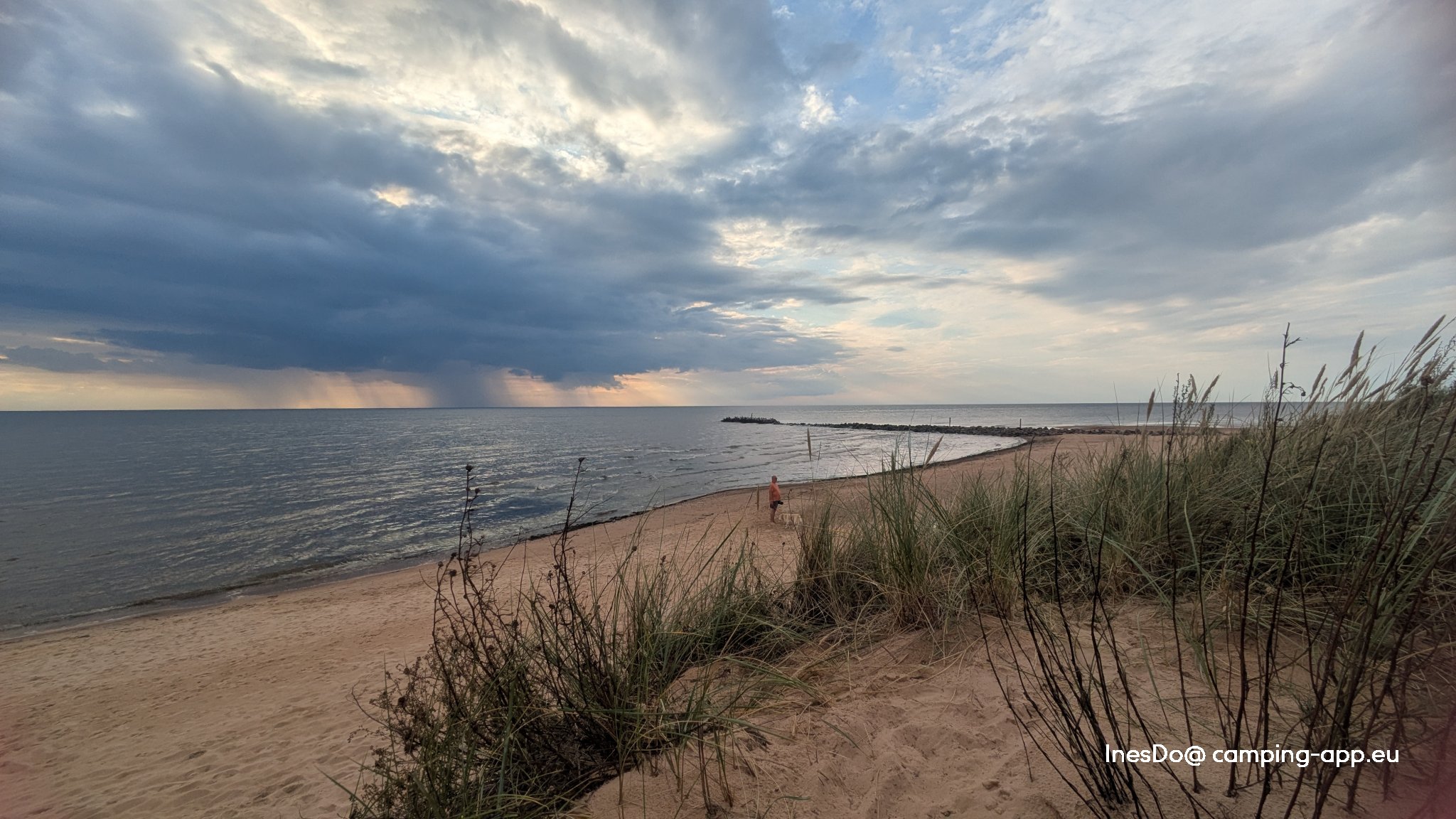 Jūrasdzeņi — Foto 2