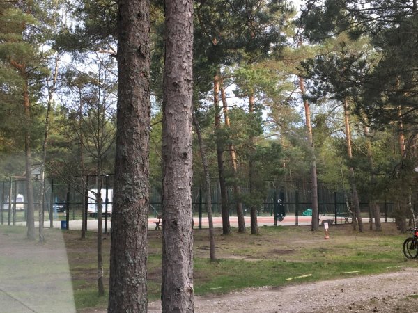 Nidos Kempingas — Photo 3
