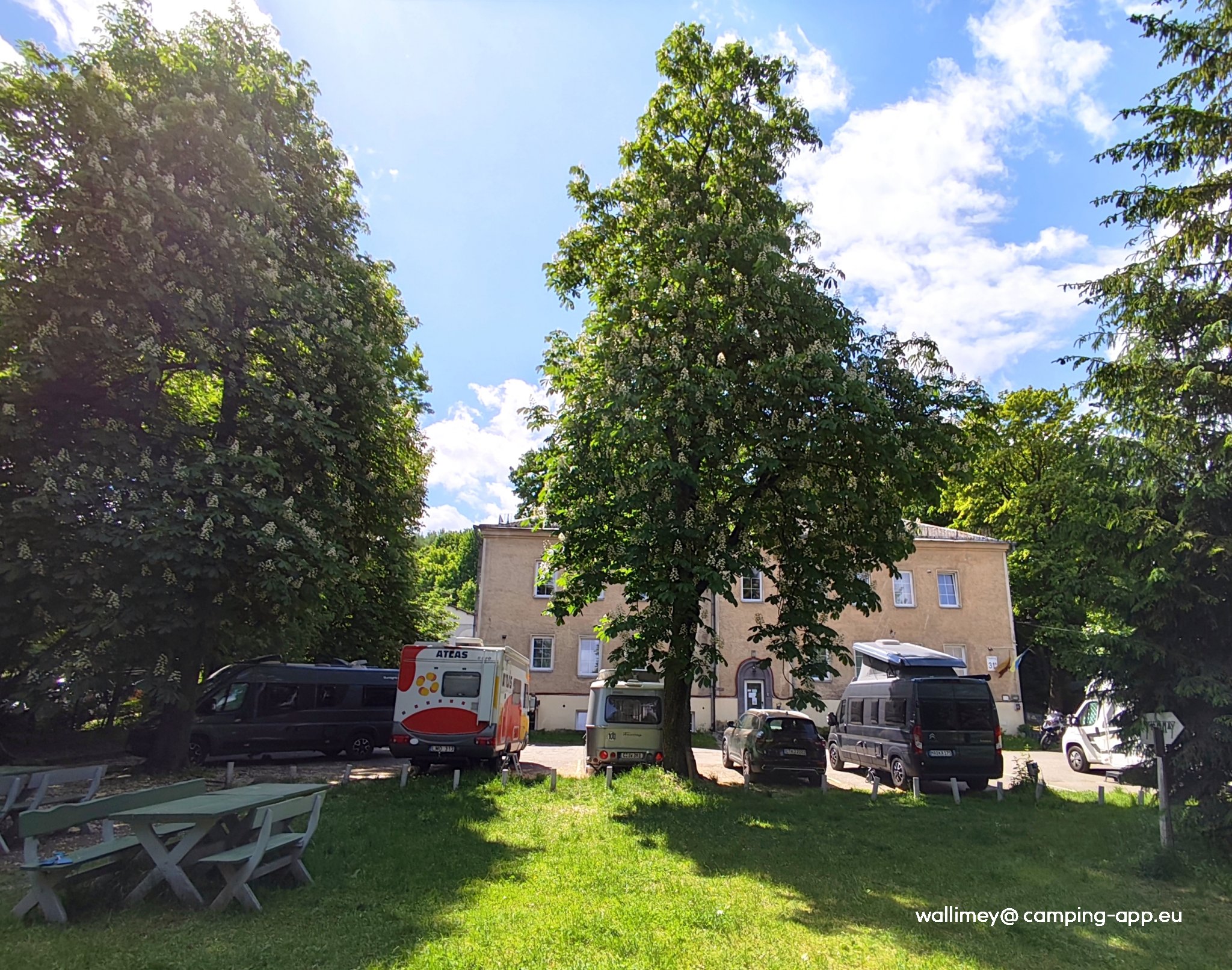 Downtown Forest Hostel & Camping