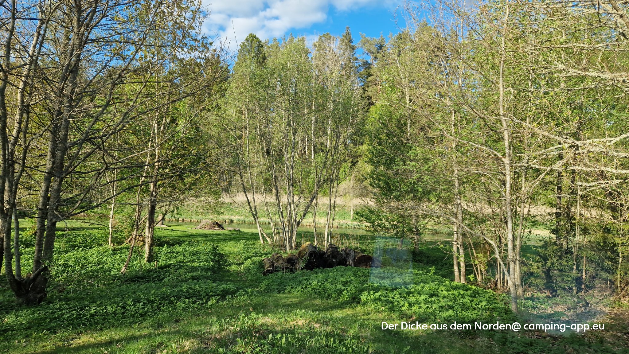 Kassioru Puhkemaja — Photo 5