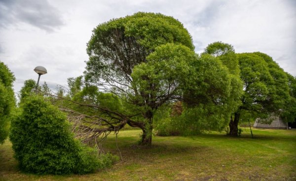Camping Kiviniemi — Photo 3