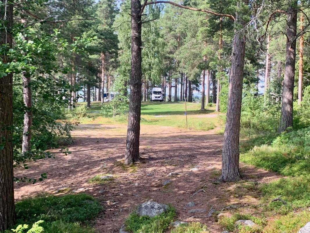 Timitraniemi Camping — Camping in Lieksa