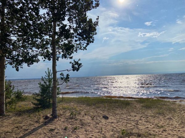 Lomakylä Kultahiekat — Photo 2