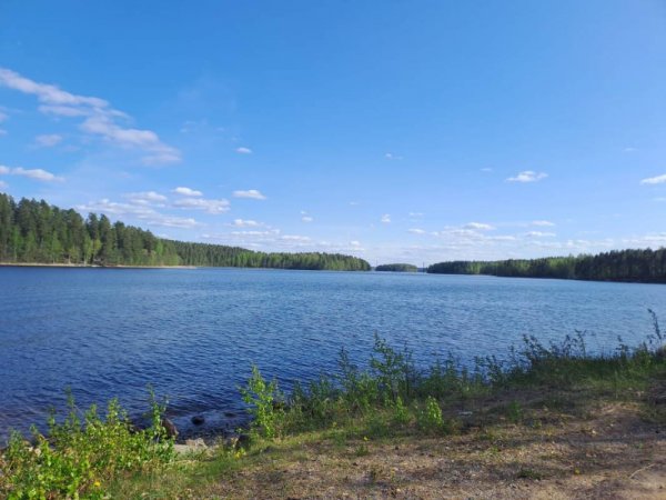 Punkaharju Resort — Photo 3