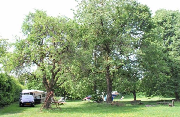 Stellplatz am Georgshof Schammann Weikersheim — Foto 2
