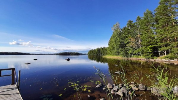 Tampinmyllyn leirintäalue — Photo 2