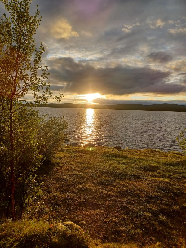 Uruniemi Camping — Foto 2