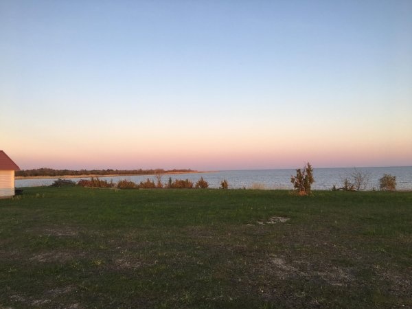 Köiguste Marina/Sadam — Campervan Site in Saare maakond