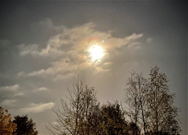 Campingpark im Bergischen Land — Photo 5