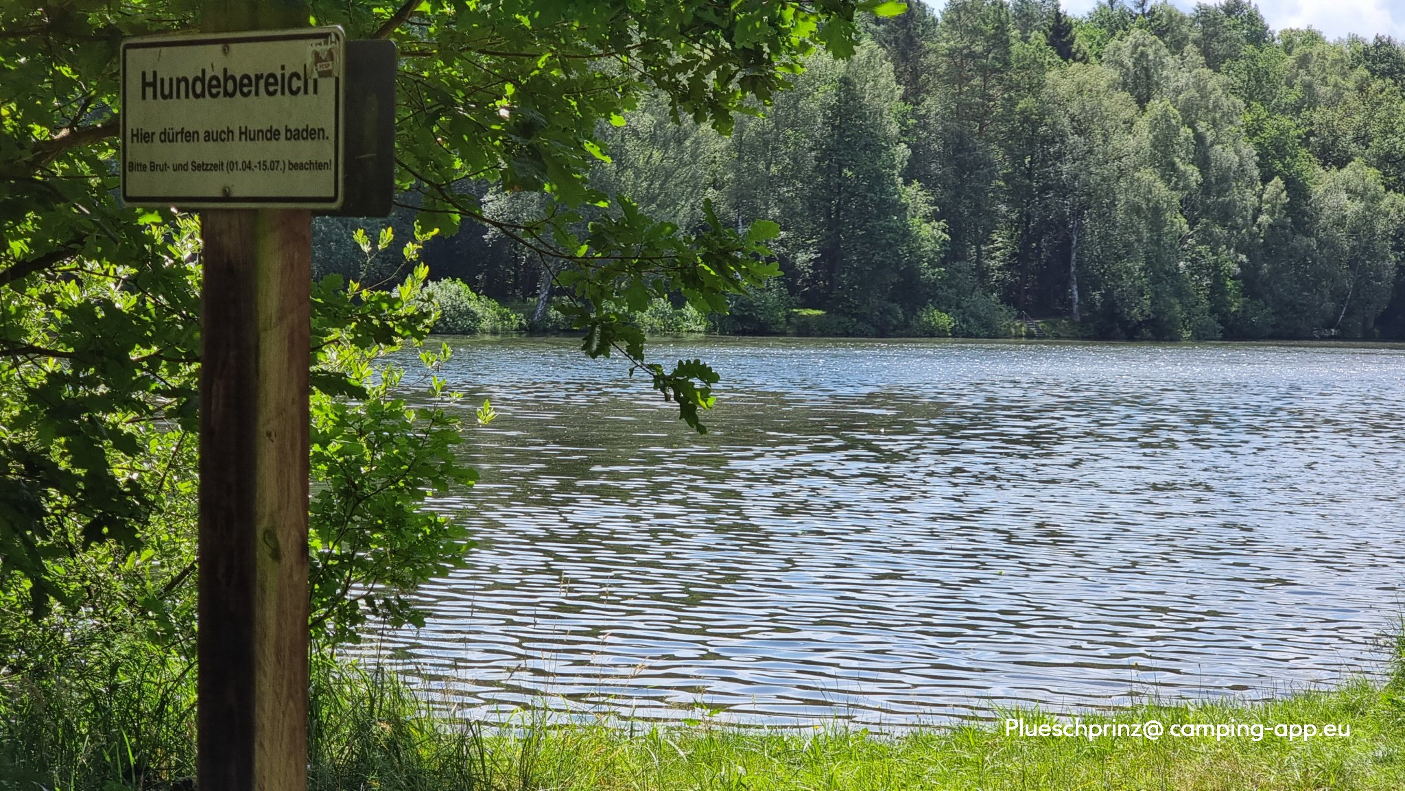 Campingplatz am Hardausee — Foto 3