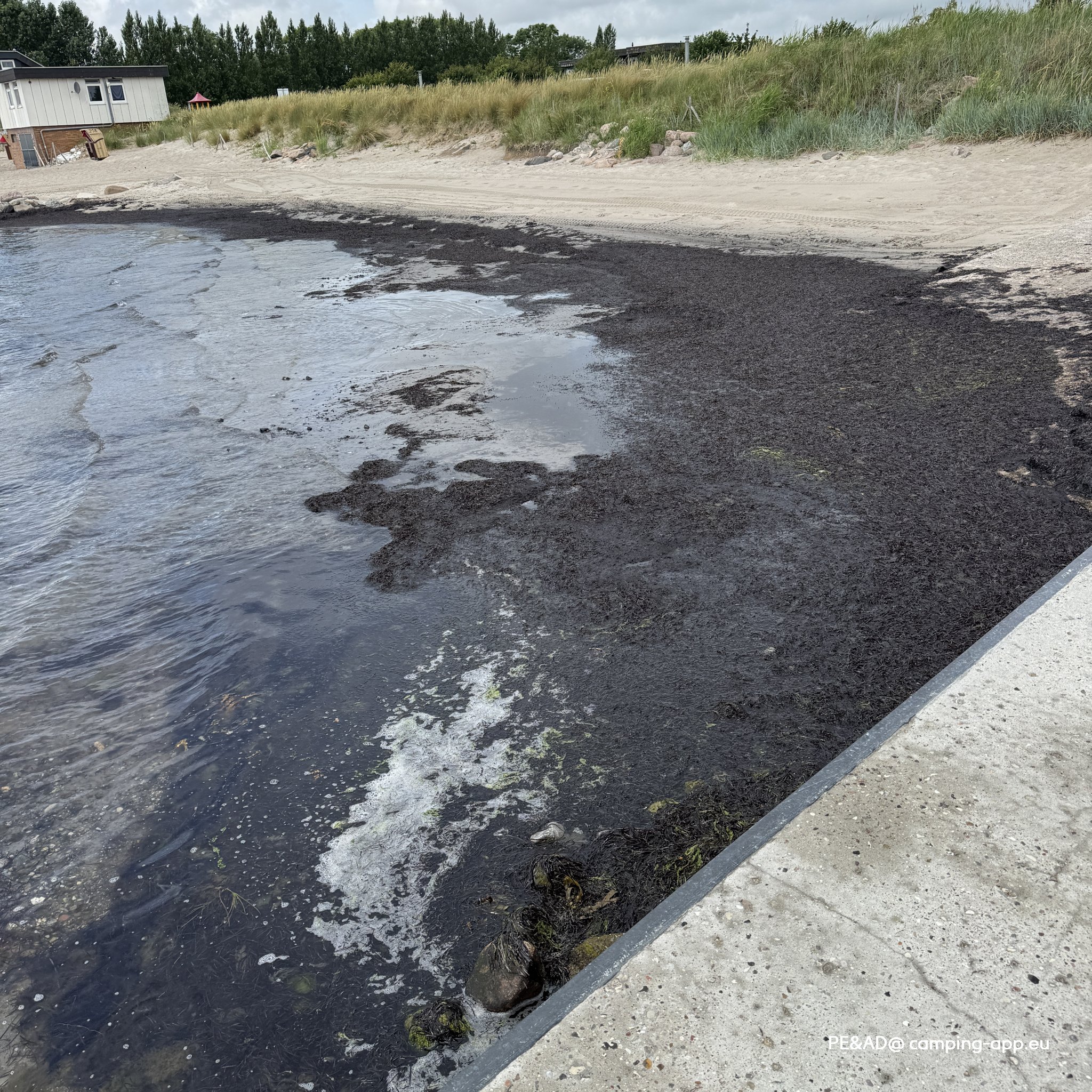 Strandcamping Wallnau — Fotografie 2