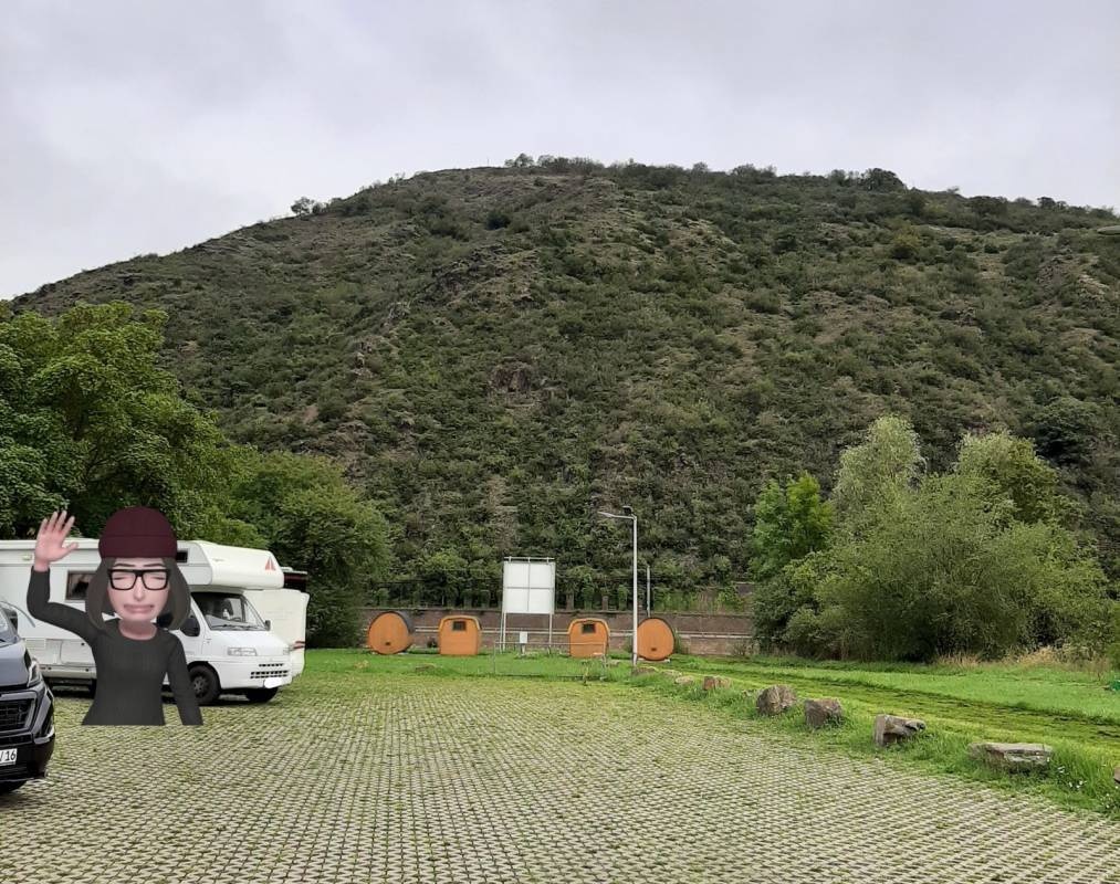 Stellplatz Mosel Islands — QuickStop in Treis-Karden