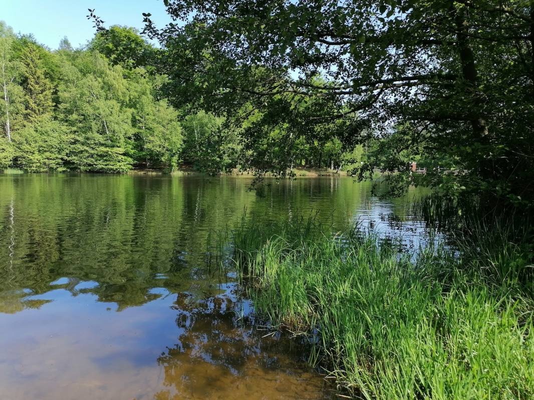 Harz-Camp Bremer Teich — Campingplatz in Gernrode