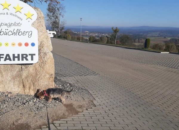 Panorama & Wellness-Campingplatz Großbüchlberg — Foto 5