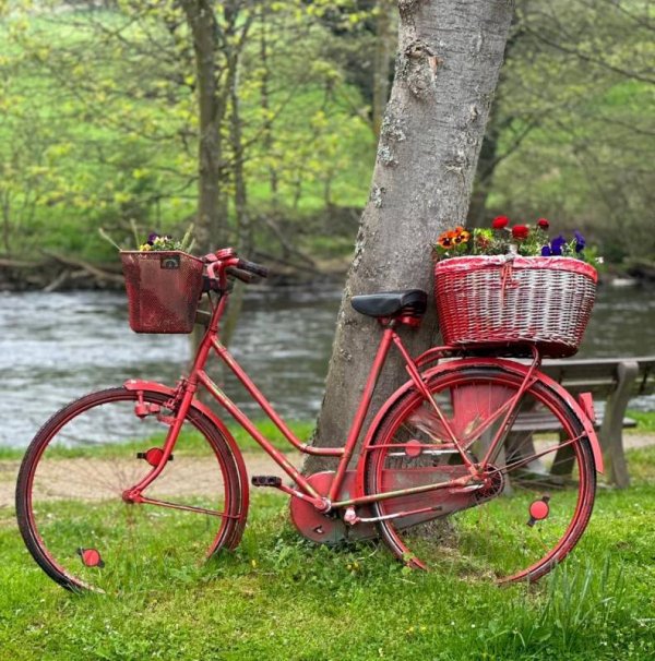 Campingplatz Hetzingen — Photo 5