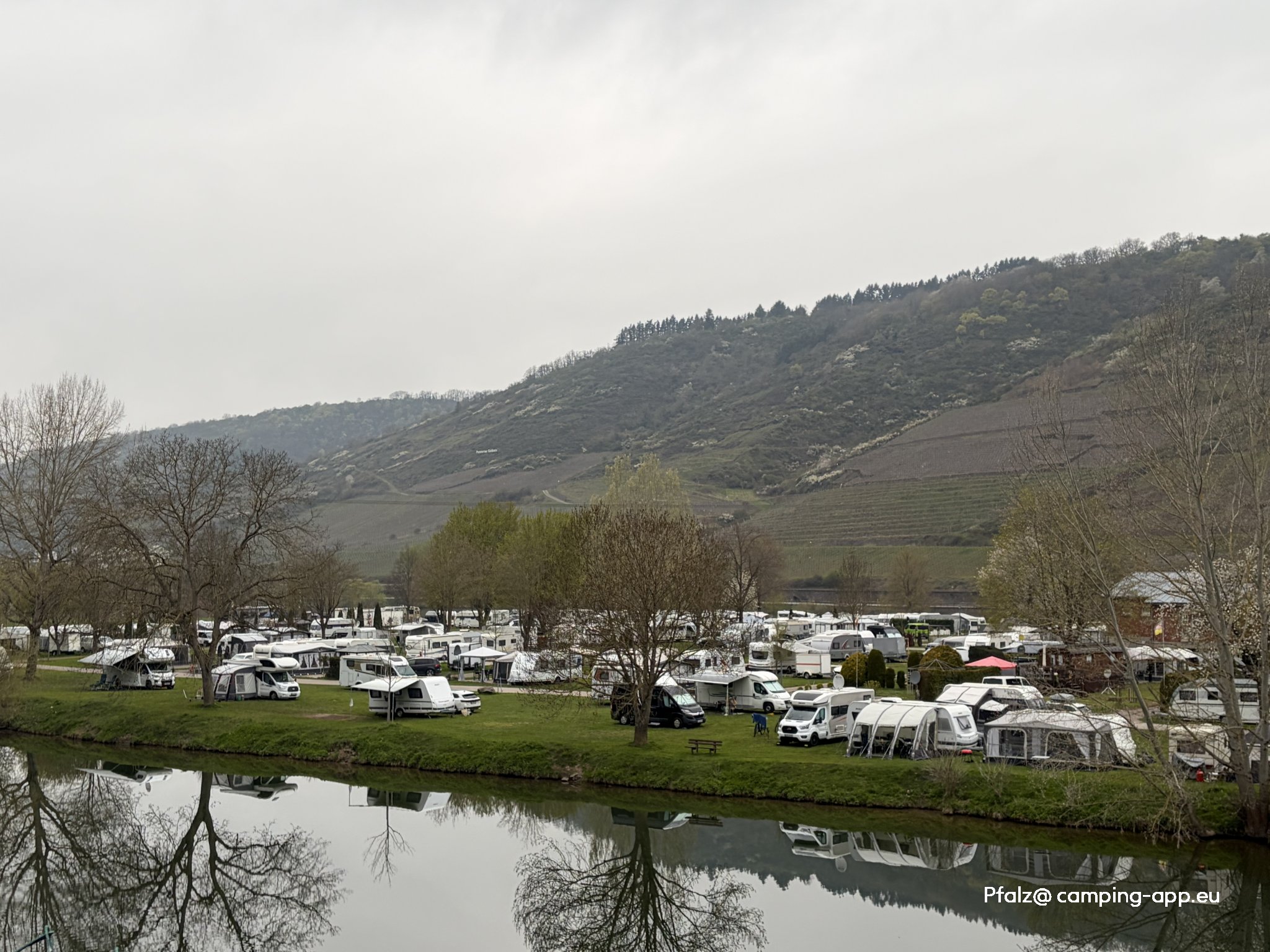 Campingplatz Mosel-Islands — Area da campeggio in Treis-Karden