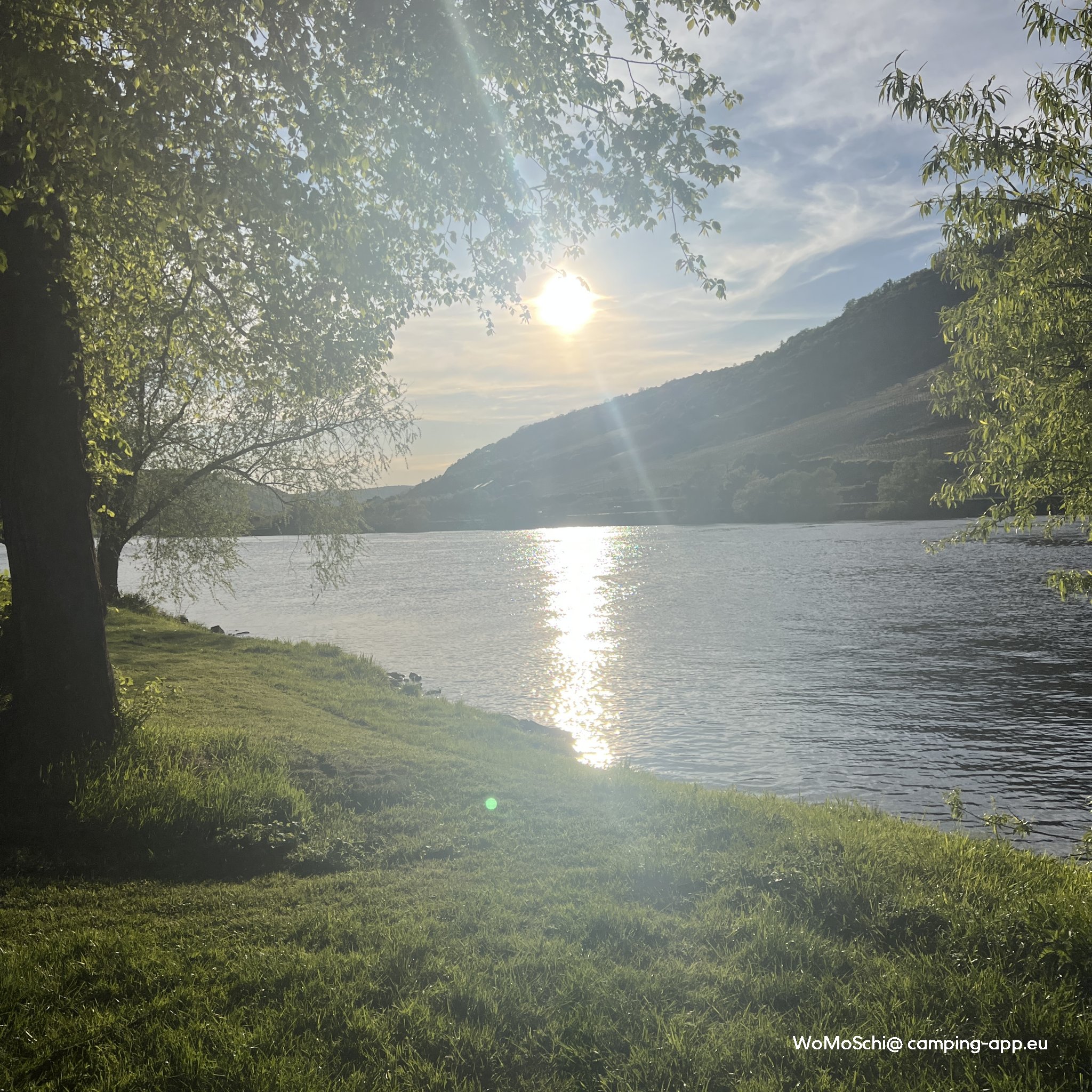 Campingplatz Mosel-Islands — Foto 3