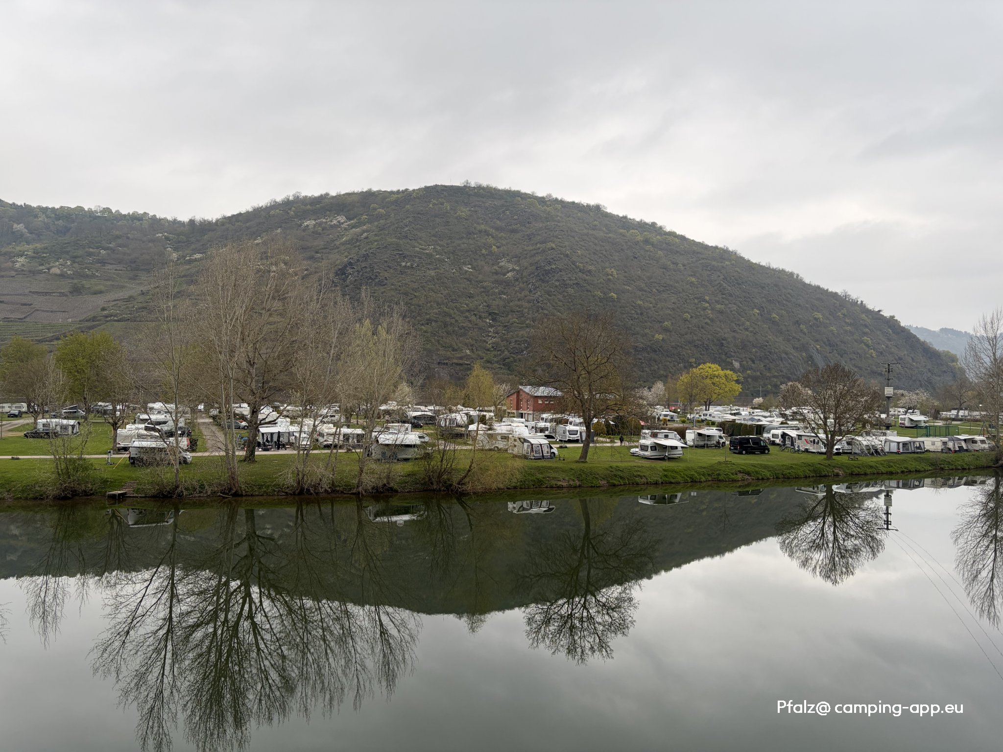 Campingplatz Mosel-Islands — Foto 5