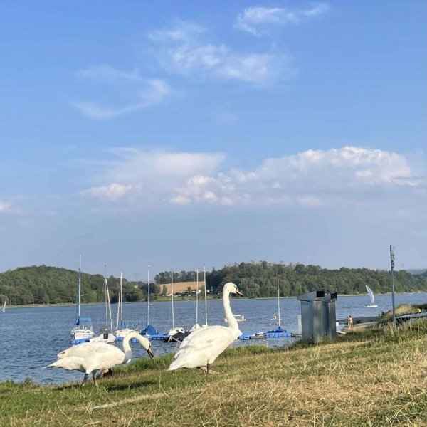 Campingplatz Gunzenberg — Photo 2