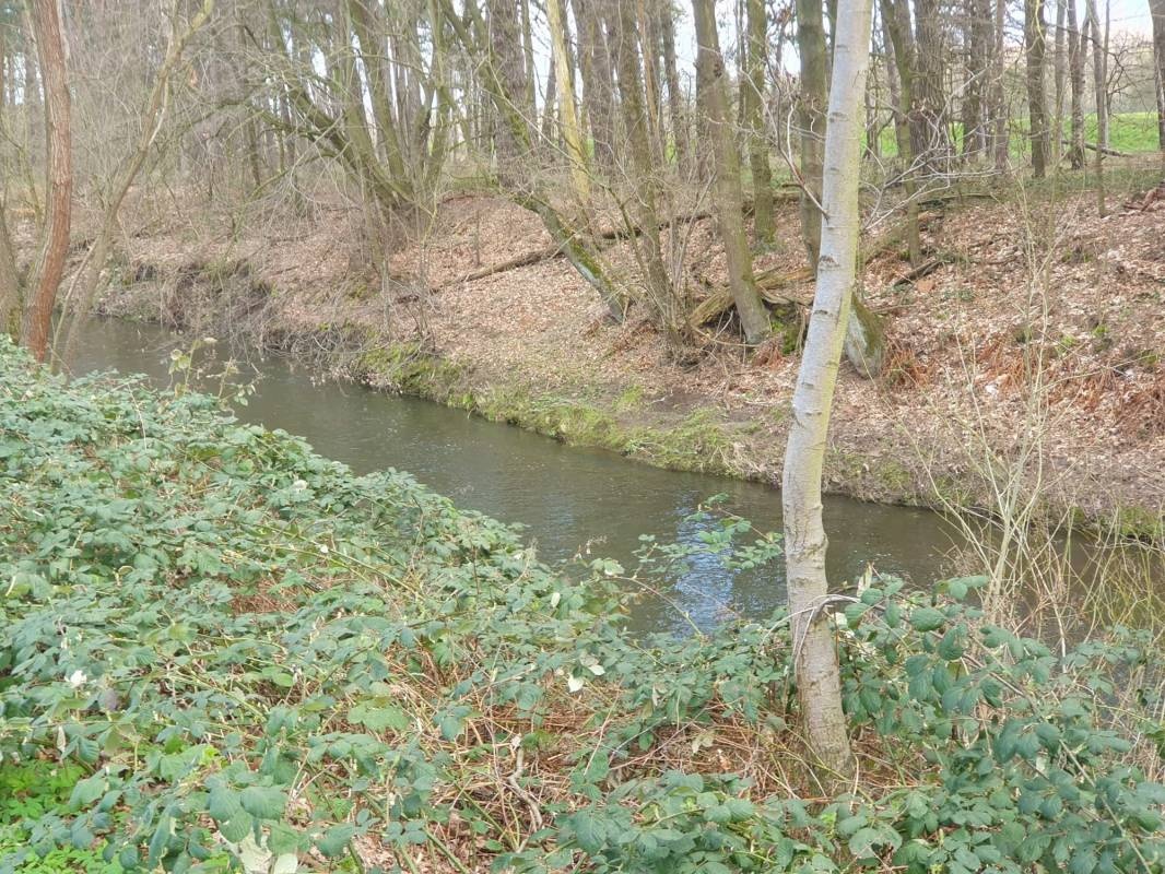 Campingplatz Bergmühle — Campingplats in Holle