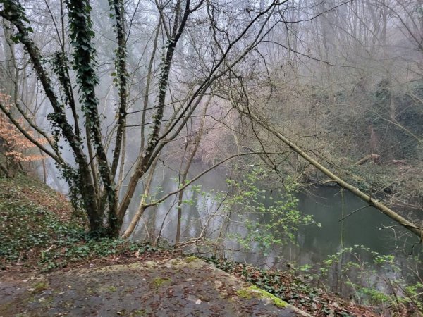 Campingplatz Bergmühle — Photo 5