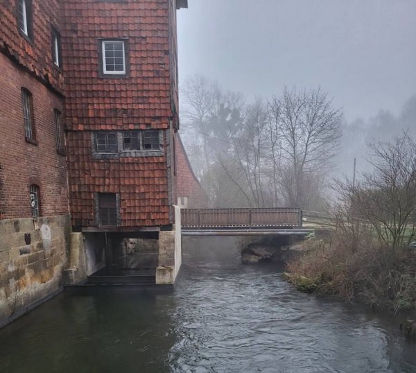 Campingplatz Bergmühle — Photo 2