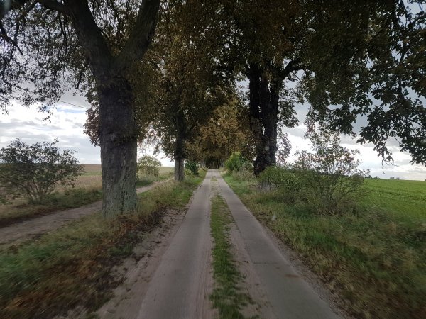 Wohnmobilhafen Inselcamping Werder — Photo 2