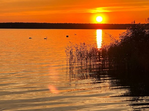 Wohnmobilhafen Inselcamping Werder