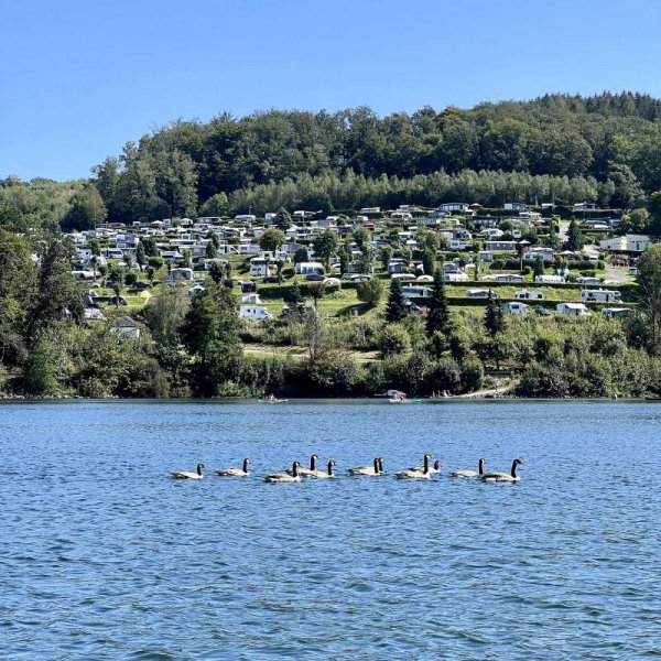 Campinganlage Gut Kalberschnacke — Foto 4