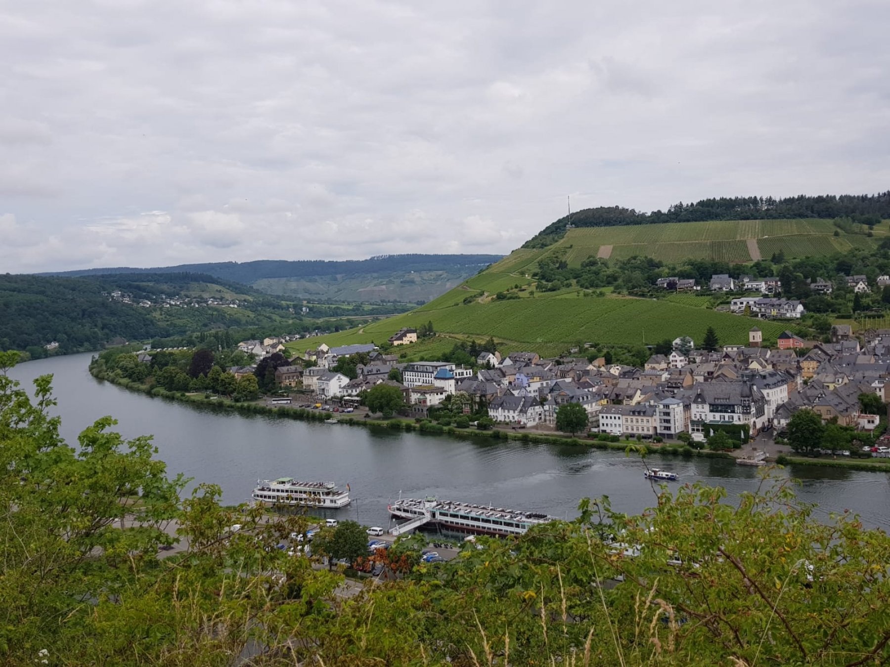 Mosel Campingplatz Rissbach — Camping in Traben-Trarbach