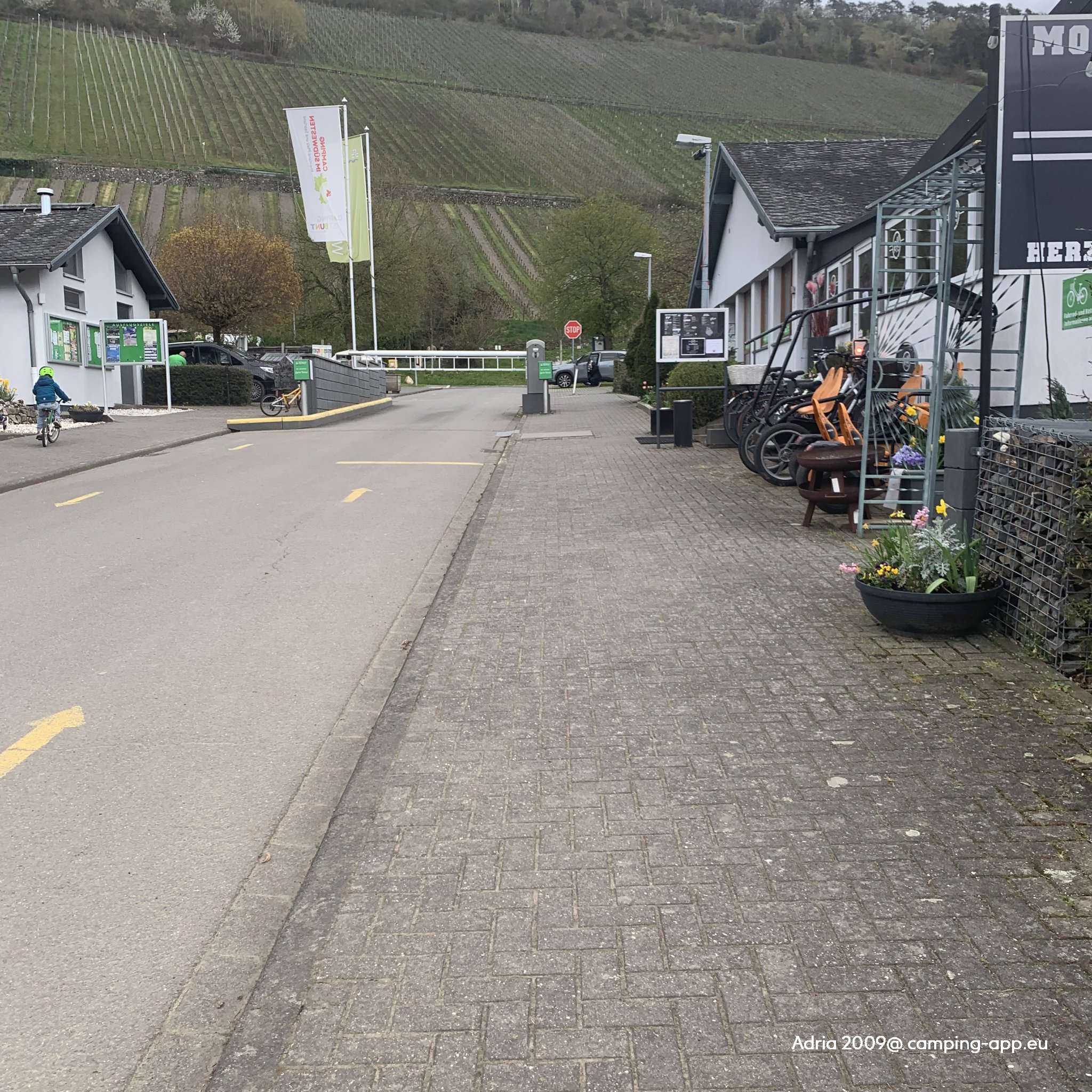 Mosel Campingplatz Rissbach — Foto 3